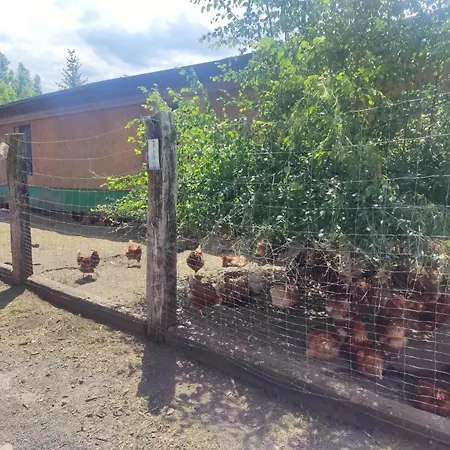 Am Hofladen Hellendorf - Saechsische Schweiz By Interhome Apartment *